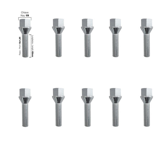 10 bulloni ch.19 12X1.25 l.42mm